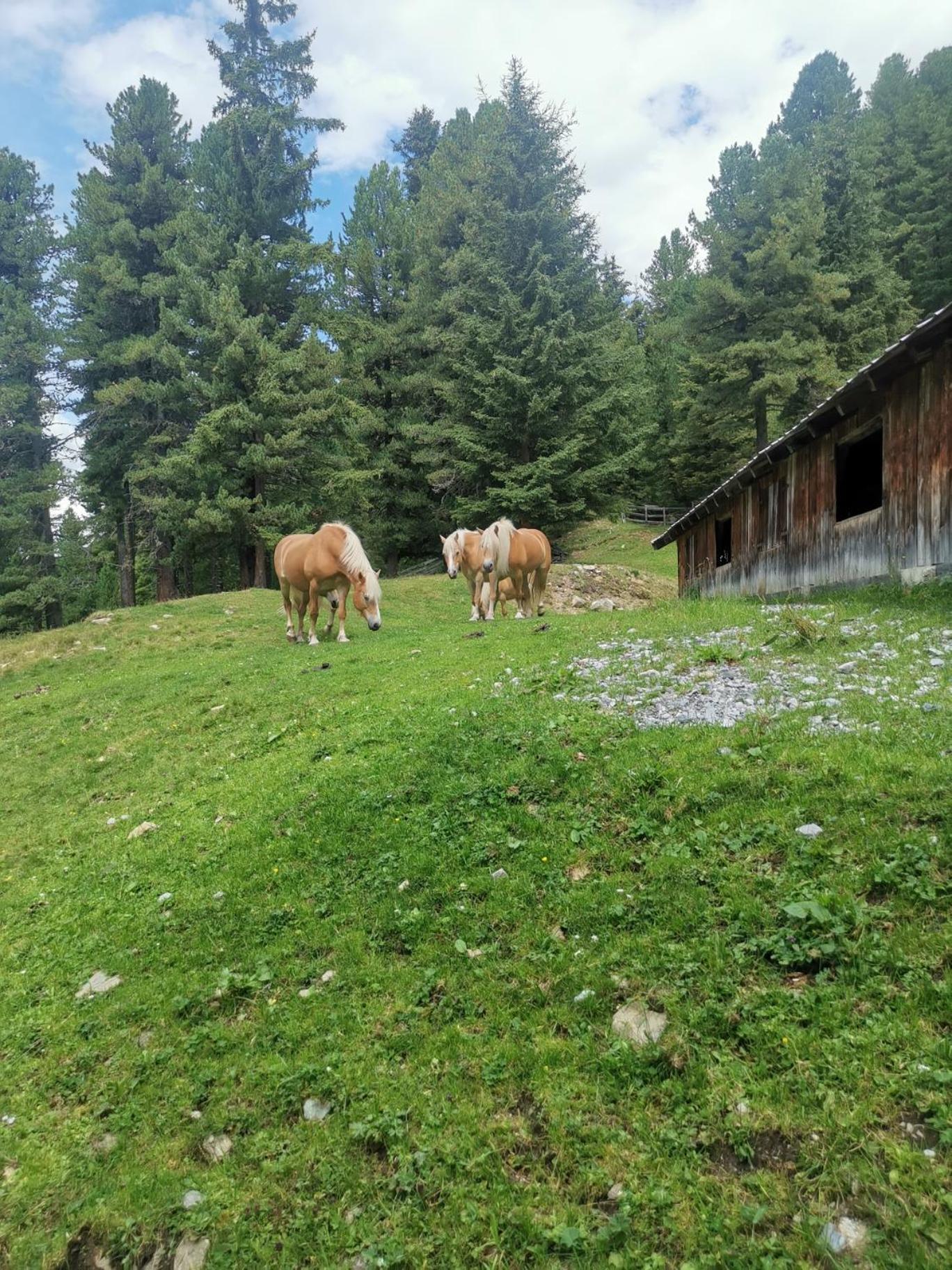 Pitztal Living Aparthotel Jerzens Exterior foto